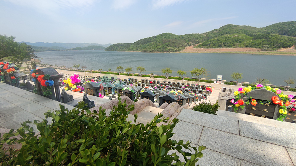 沈阳家族墓地的文化价值与管理规范：传承家族情感的庄重空间